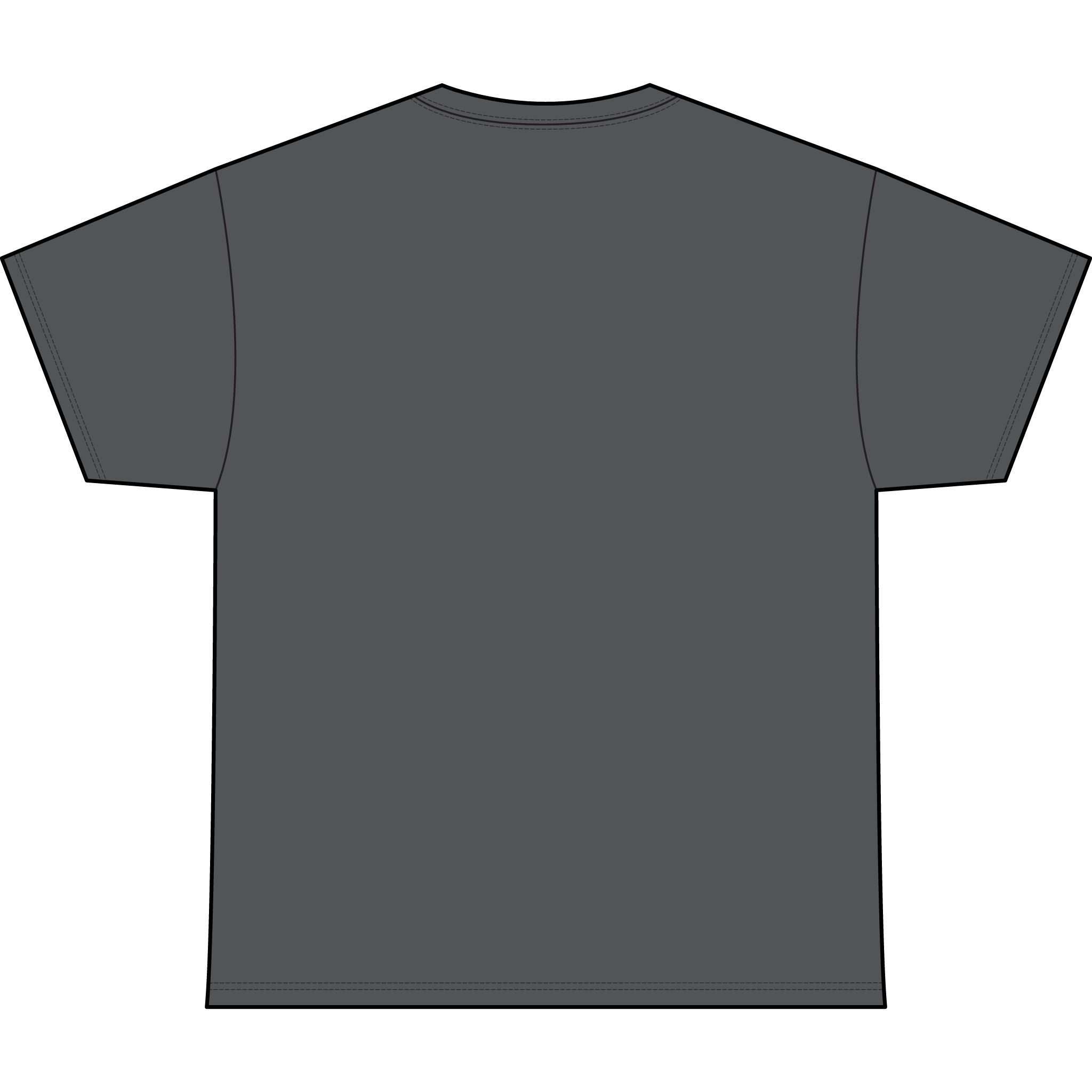 Classic Heavyweight Tee -Crewneck Bella+Canvas 4610