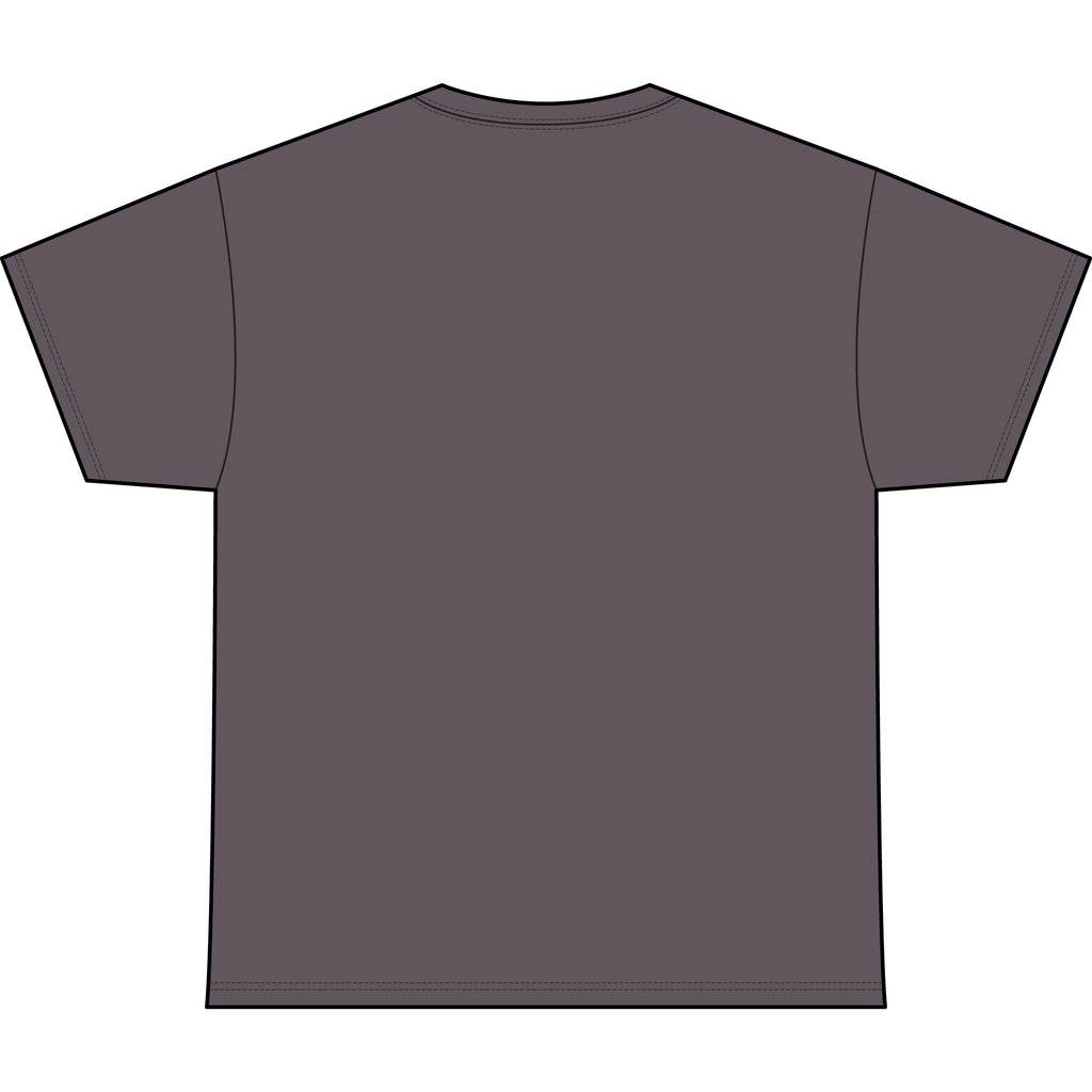 Classic Heavyweight Tee -Crewneck Bella+Canvas 4610