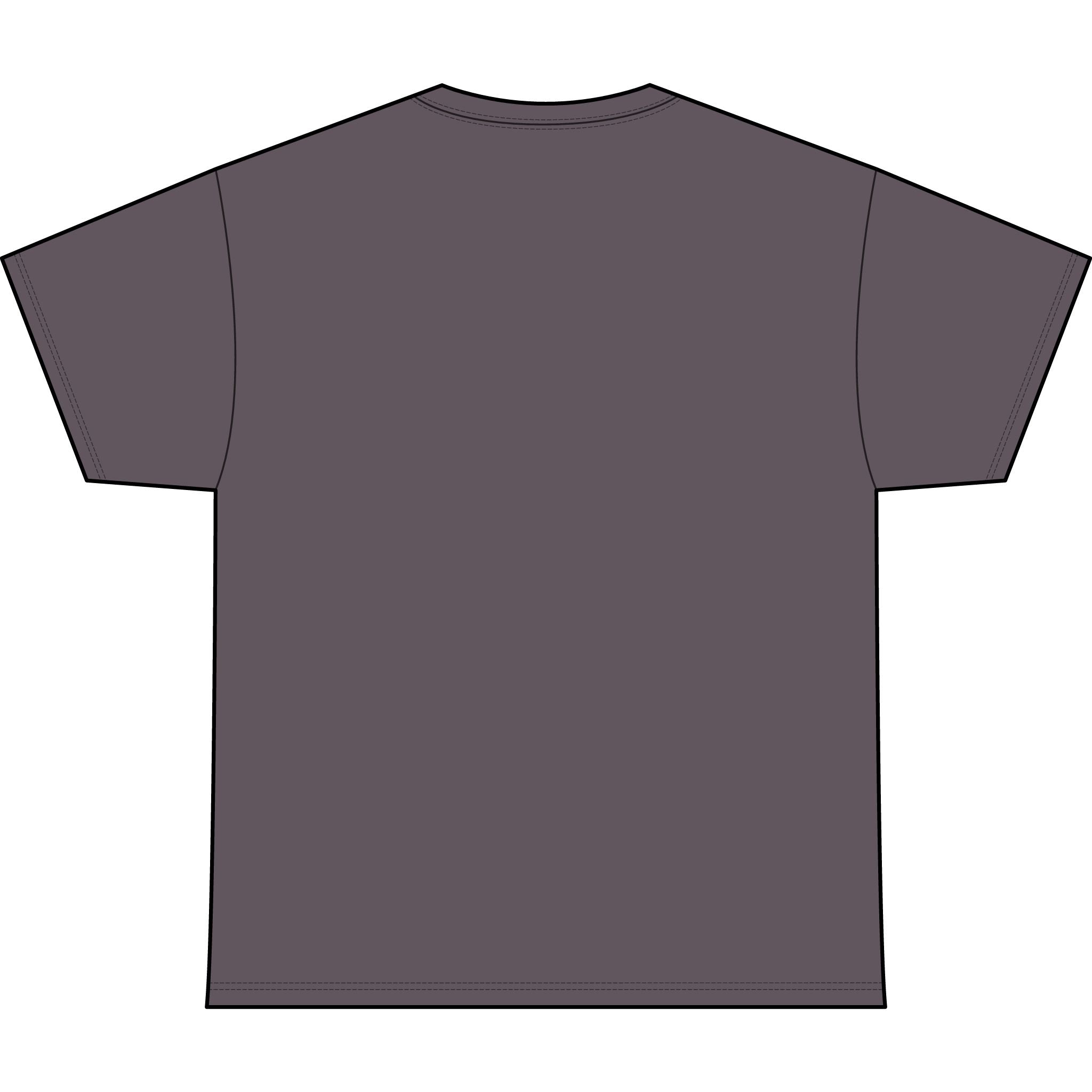 Classic Heavyweight Tee -Crewneck Bella+Canvas 4610