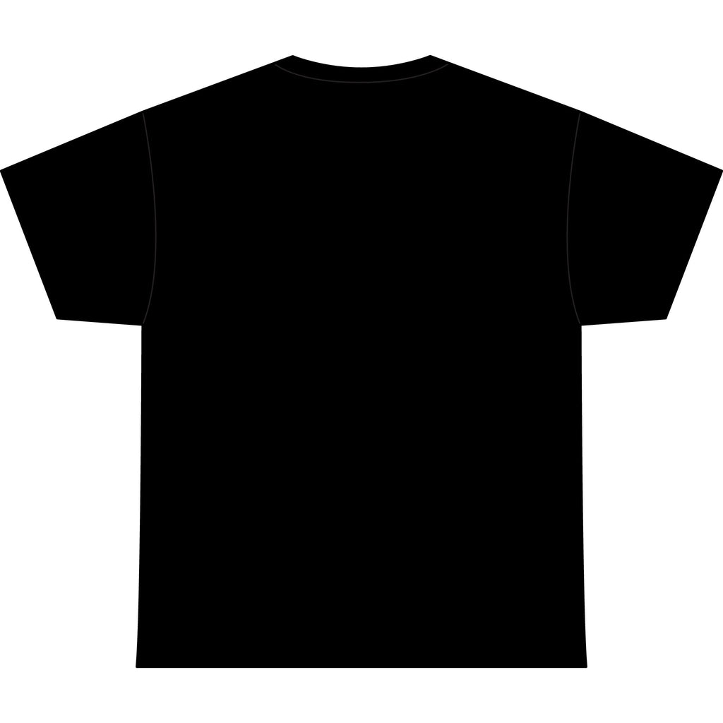 Classic Heavyweight Tee -Crewneck Bella+Canvas 4610