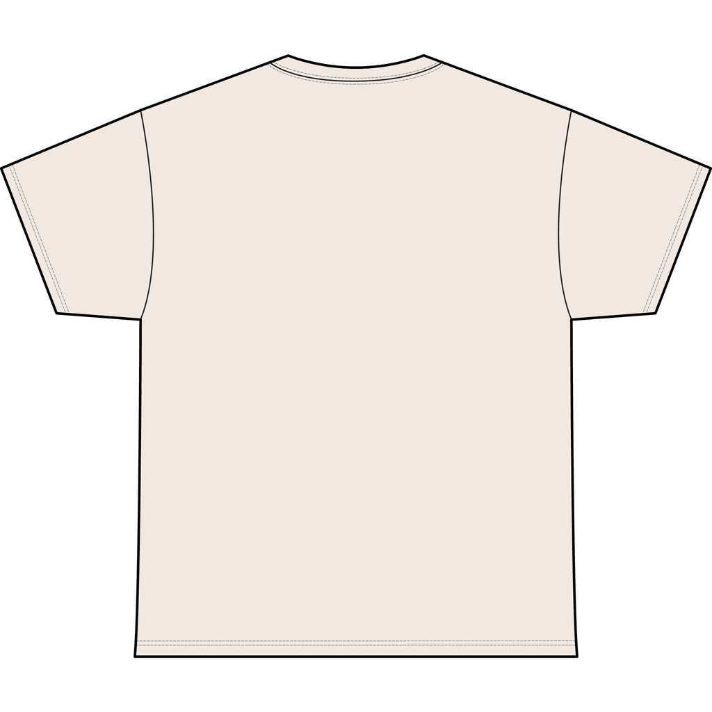 Classic Heavyweight Tee -Crewneck Bella+Canvas 4610