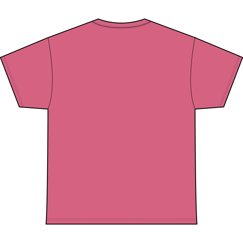 Classic Heavyweight Tee -Crewneck Bella+Canvas 4610