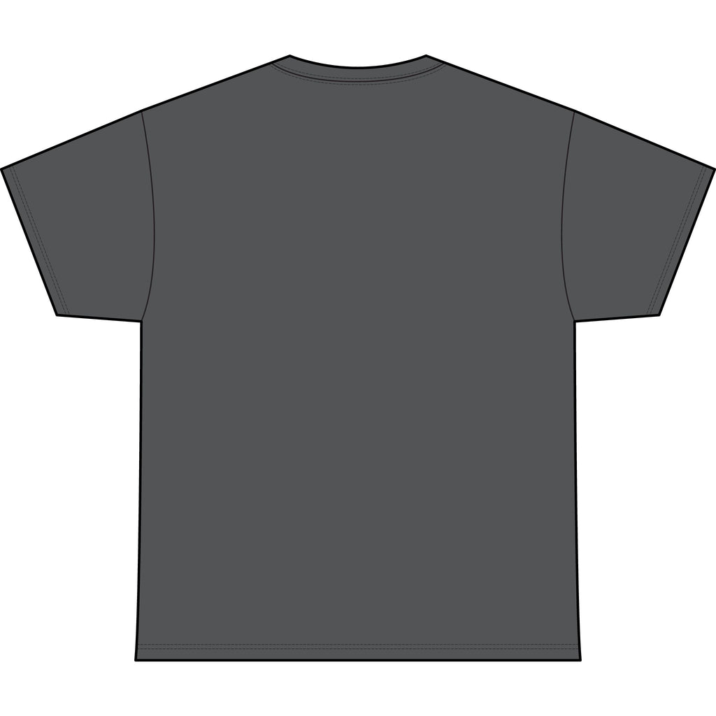 Classic Heavyweight Tee -Crewneck Bella+Canvas 4610